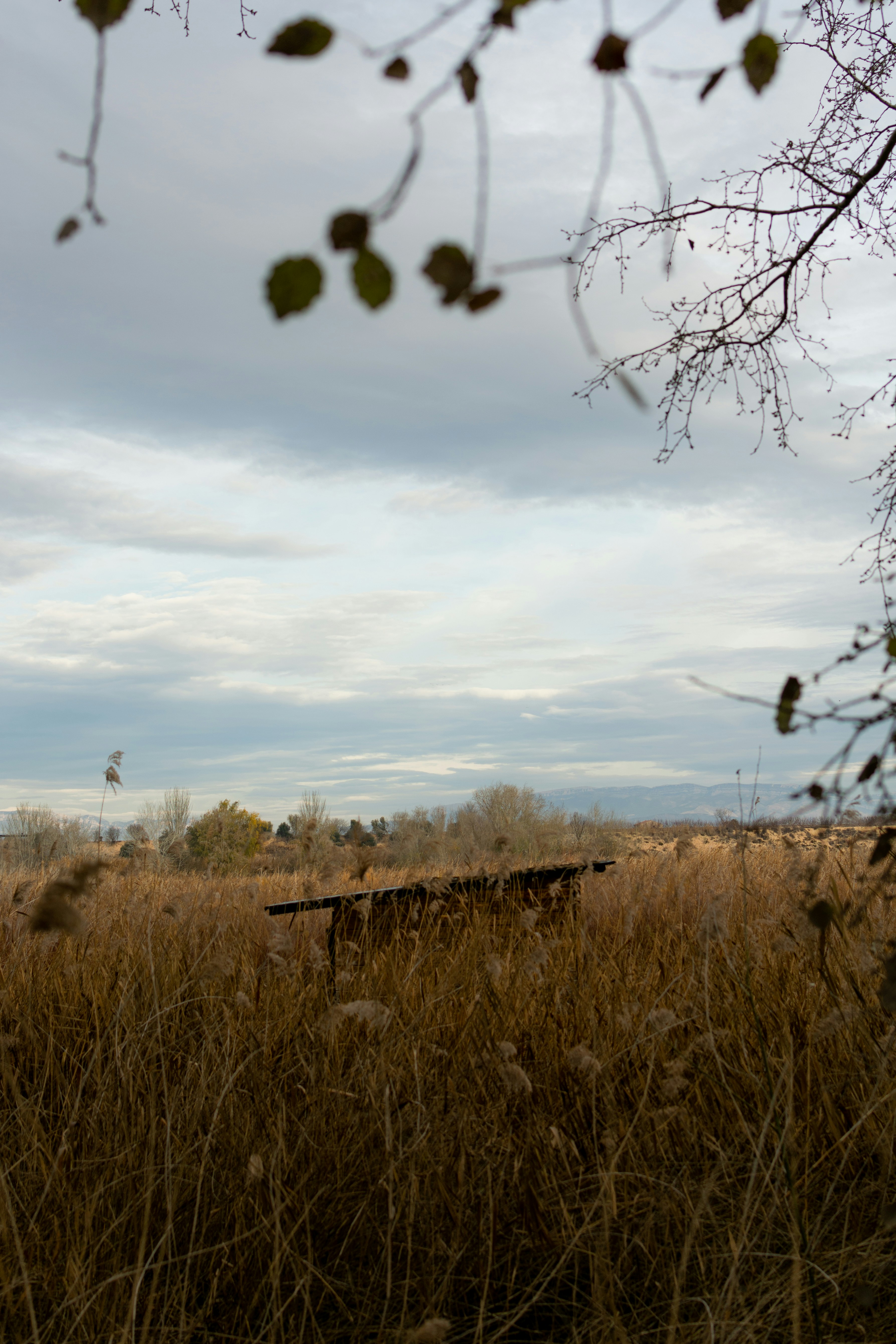 Landscape photography